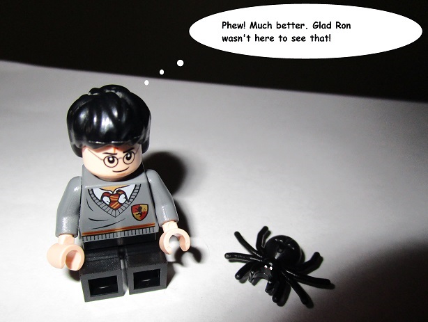 HarryP Little Spider