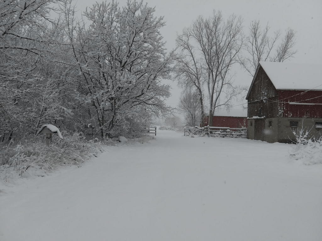 A snow-covered landscape with trees and barns.